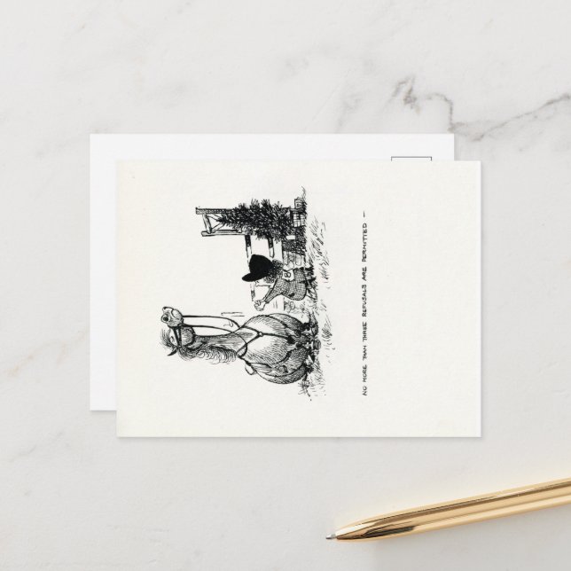 Funny Pony Cartoon Postcards (Front/Back In Situ)