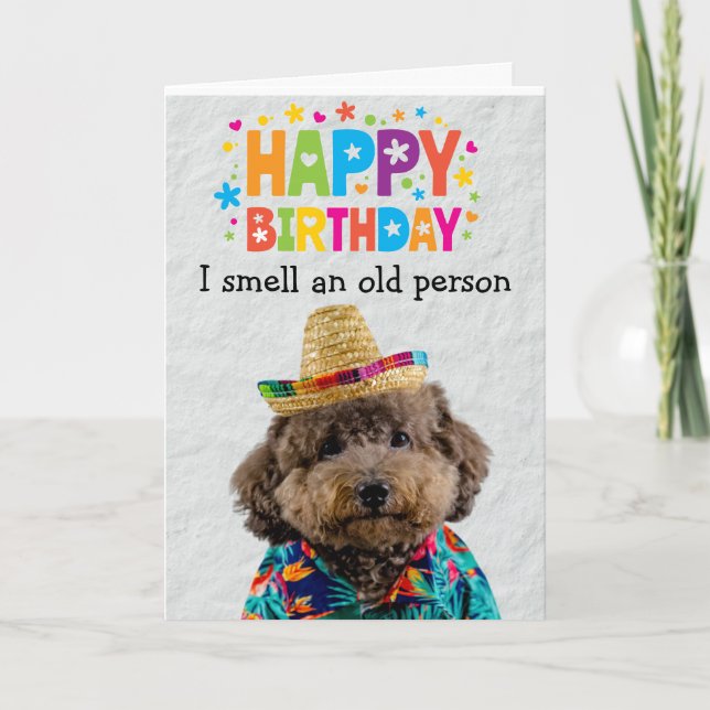 Funny Poodle dog birthday card (Front)