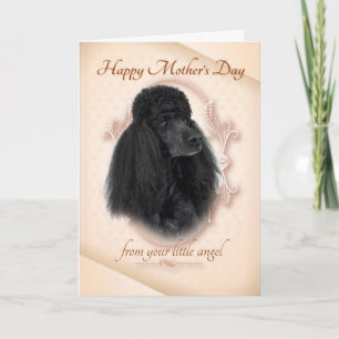 Funny Poodle Mother's Day Card