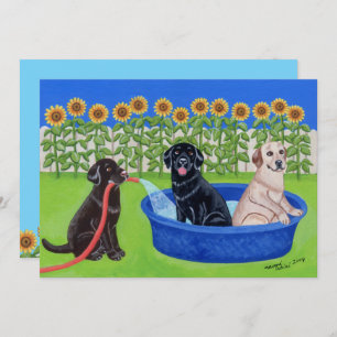 Funny Pool Party Labradors Invitation