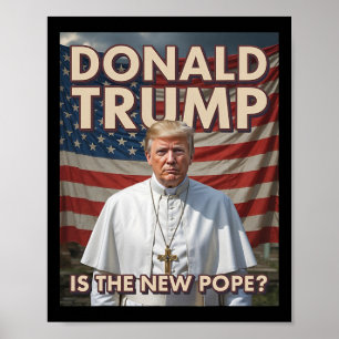 Funny Pope And President Donald Trump5  Poster