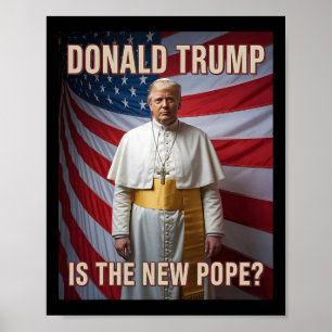 Funny Pope And President Donald Trump6  Poster