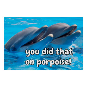 Funny Porpoise Memes Funny Porpoise Sayings Quotes Poster