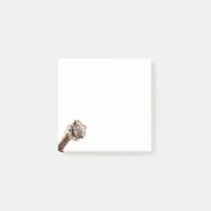 Funny Post it Notes with Happy Playful Ostrich