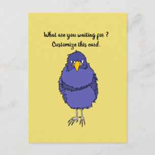 Funny postcard with not so happy bird