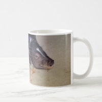 Funny Pot Bellied Pig Photography Mug