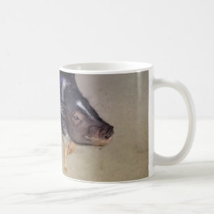 Funny Pot Bellied Pig Photography Mug