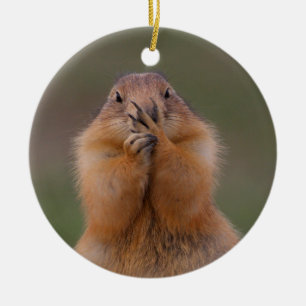 funny prairie dog ceramic tree decoration