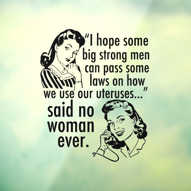 Funny Pro Choice Feminist Political Cartoon Window Cling (Sheet 3)