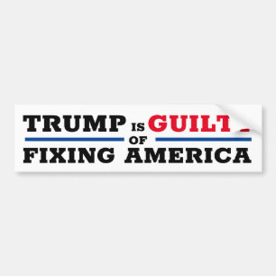 Funny Pro Trump Anti Impeachment Bumper Sticker