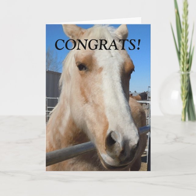 Funny Professional Graduate Congratulations Horse Card (Front)