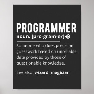 Funny Programmer Code Developer Meaning Definition Poster
