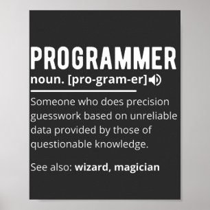 Funny Programmer Code Developer Meaning Definition Poster
