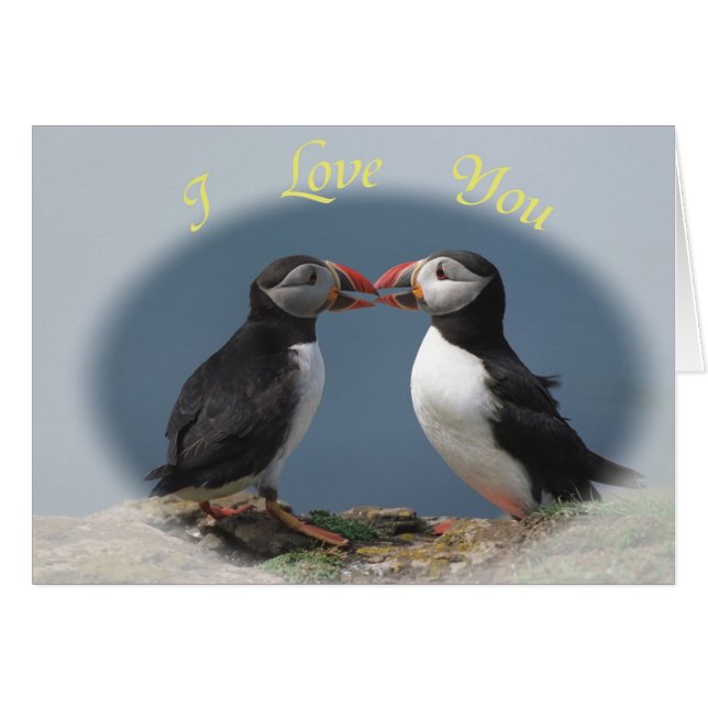 Funny puffins (Front Horizontal)