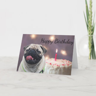 Funny pug birthday card