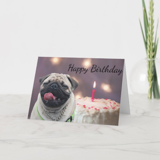 Funny pug birthday card (Front)