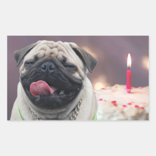 Funny pug birthday party rectangular sticker