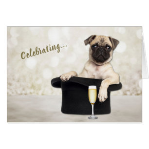 Funny Pug Dog Celebrating Birthday Card