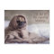 Funny Pug Dog postcard