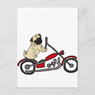 Funny Pug Dog Riding Motorcycle Art Postcard