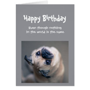 Funny Pug Dog Social Distancing Birthday