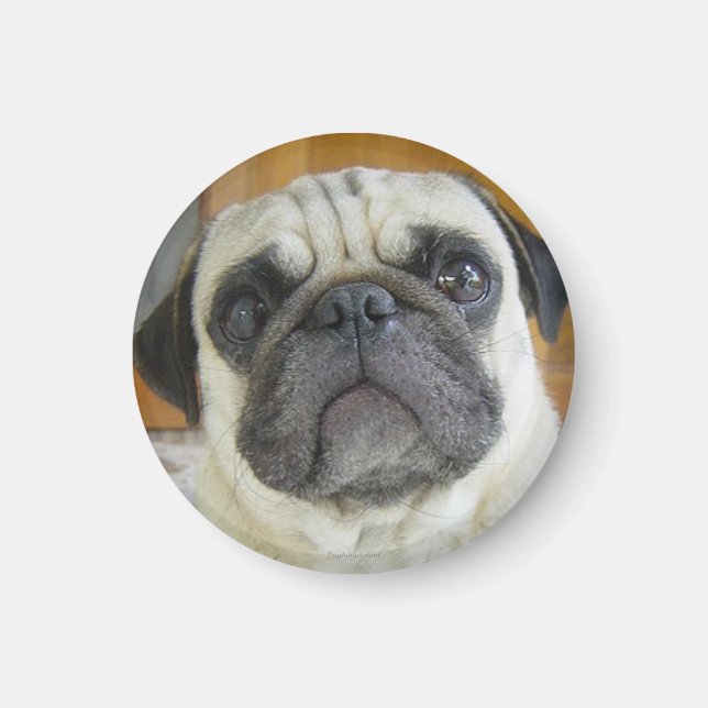 Funny Pug Face Refrigerator Magnet Fridge Magnets (Front)