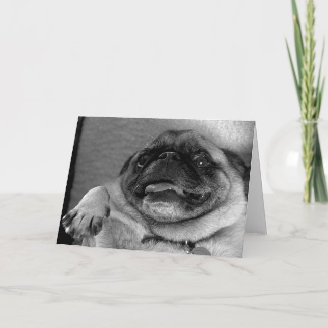 Funny Pug Greeting Card (Front)