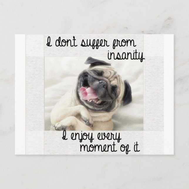 funny pug insanity postcard (Front)