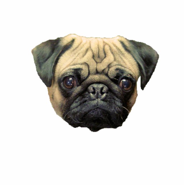 Funny Pug Photo Sculpture Keychain (Front)
