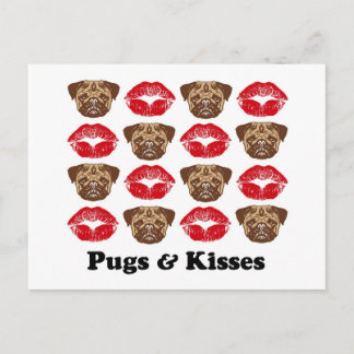 Funny Pug Postcard