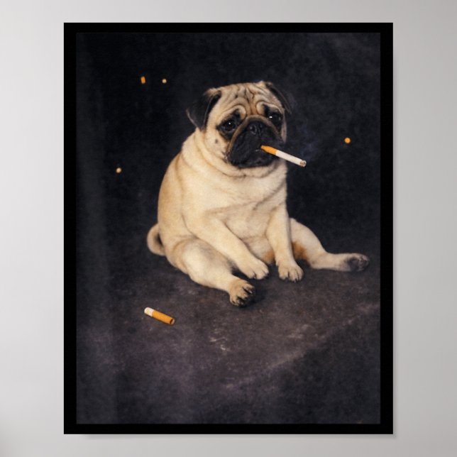 Funny Pug Smoking Meme Cigarette Dog Meme Street Poster (Front)