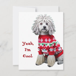 Funny Puli in Ugly Sweater Christmas Card