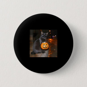 Funny pumpkin cat meme trick or treat halloween 6 cm round badge