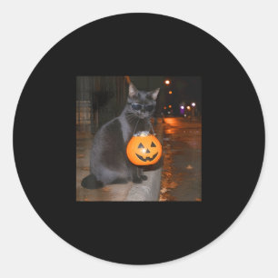 Funny pumpkin cat meme trick or treat halloween classic round sticker
