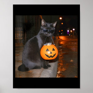 Funny pumpkin cat meme trick or treat halloween poster