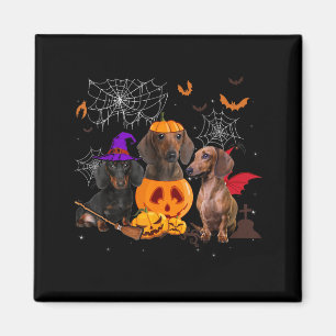 Funny Pumpkin Witch Dachshund Matching Dog Magnet