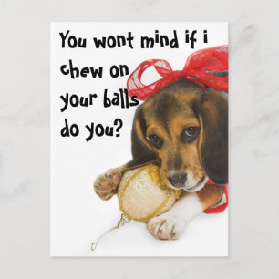 Funny Puppy Christmas, Holiday Postcard
