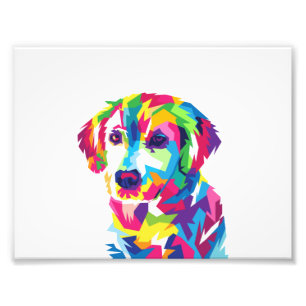 Funny Puppy colorful - Choose background color Photo Print
