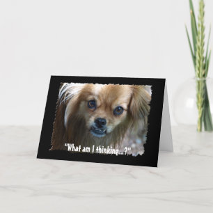 Funny Puppy Dog Birthday Card
