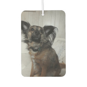 Funny Puppy Dog Pet Photo Personalised Car Air Freshener