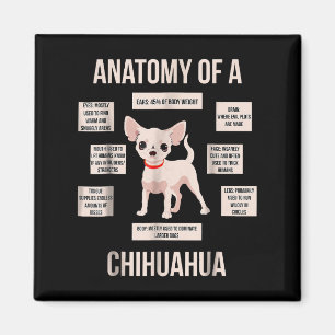 Funny Puppy Gift Anatomy Of A Chihuahua  Magnet
