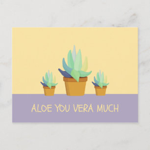 Funny Purple Yellow Aloe Vera Succulent Postcard