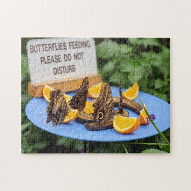 Funny! Puzzle - Butterflies Feeding Do not Disturb (Horizontal)