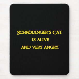 Funny Quantum Dilemma - Schrödinger’s Cat is Angry Mouse Mat