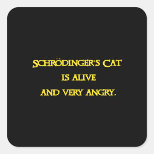 Funny Quantum Dilemma - Schrödinger’s Cat is Angry Square Sticker