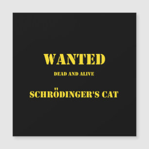 Funny Quantum Joke: Schrödinger’s Cat on the Loose