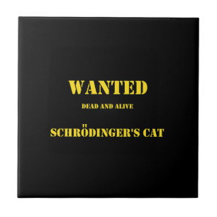 Funny Quantum Joke: Schrödinger’s Cat on the Loose Tile