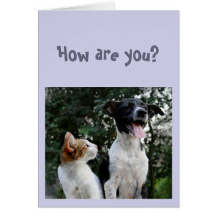 Funny Quarantine is Everyone Annoying How are you