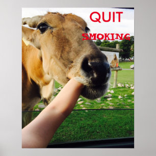 Funny quit smoking poster