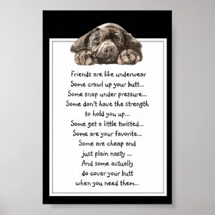 Funny Quote About Friends are Like Underwear Poster